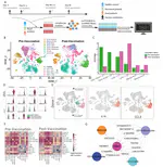 Single-cell Immune Profiling of COVID-19 Vaccination