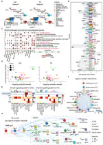 Transport stress induces neuro-immune dysregulation and exacerbates Mycobacterium tuberculosis infection in mice
